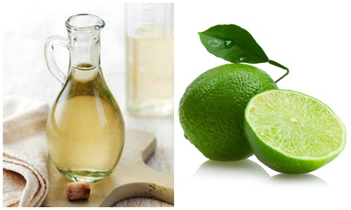 vesinhvoisen1.senziny