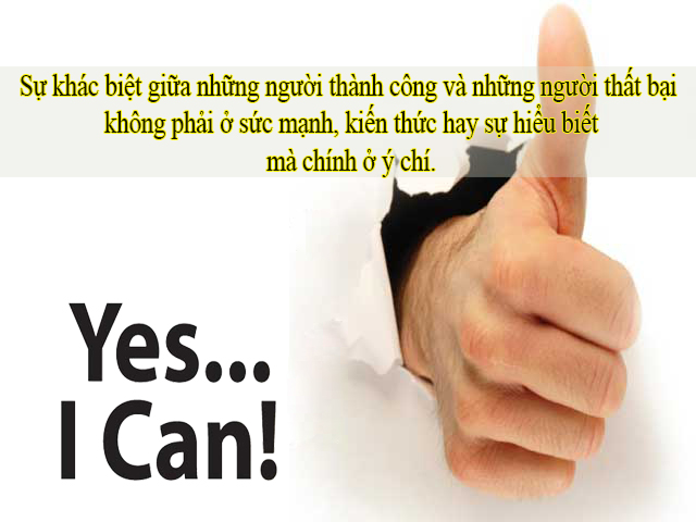 senziny-thanhcong-167-3