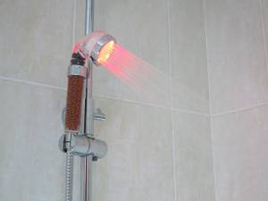 12498470_10203953932247567_1155539247_n