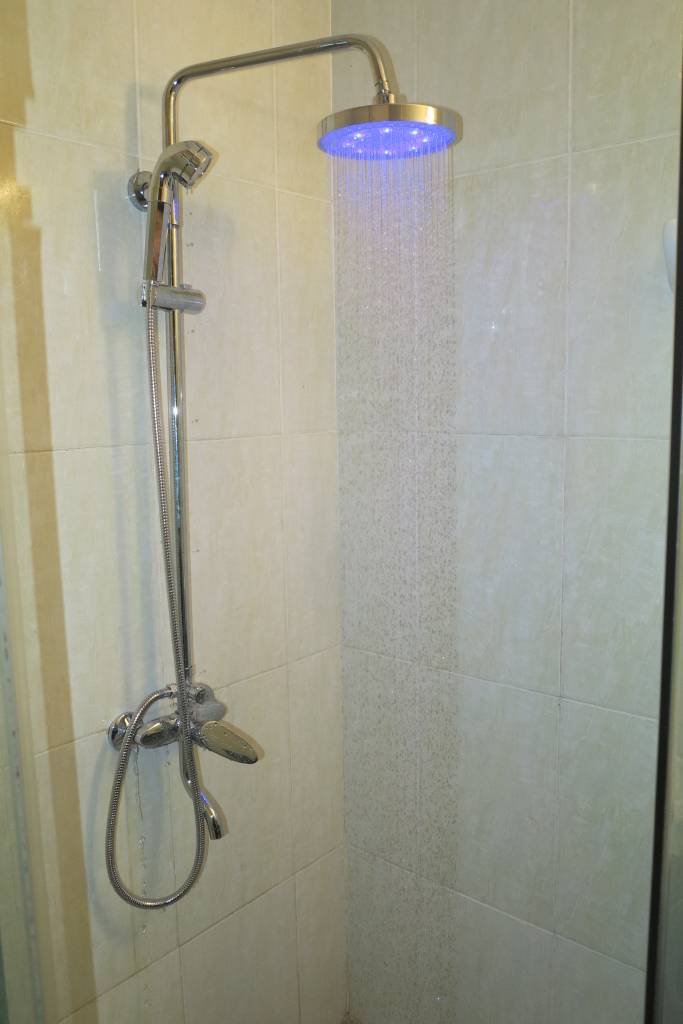 sen cay SZ0514ST. sen cay doi mau. senziny. sen cay SZ0514ST