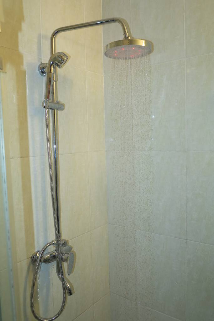 sen cay SZ0514ST. sen cay doi mau. senziny. sen cay SZ0514ST