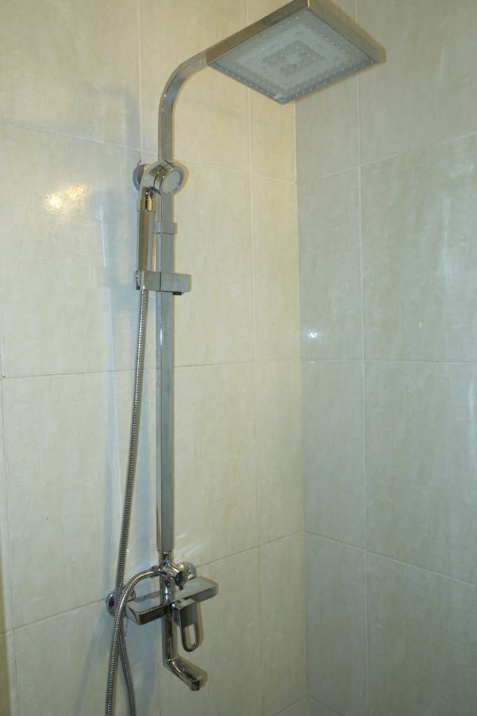 sen cay SZ0545v. sen cay doi mau. senziny. sen cay SZ0545v