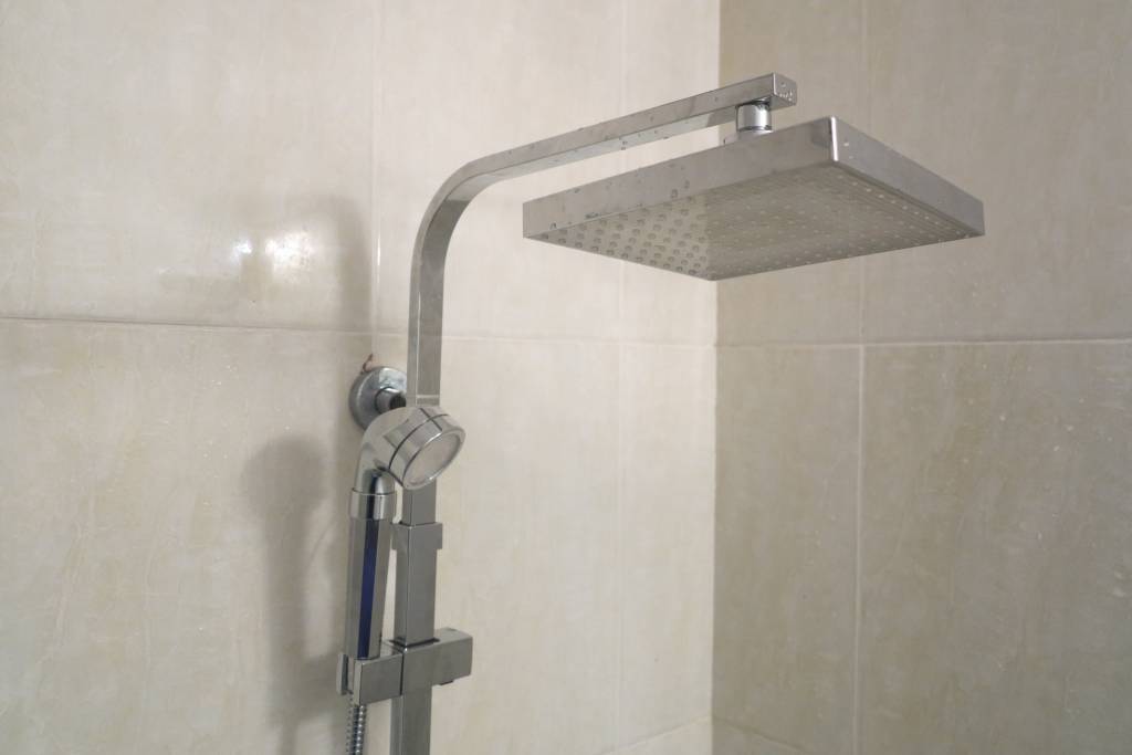 sen cay SZ0545v. sen cay doi mau. senziny. sen cay SZ0545v