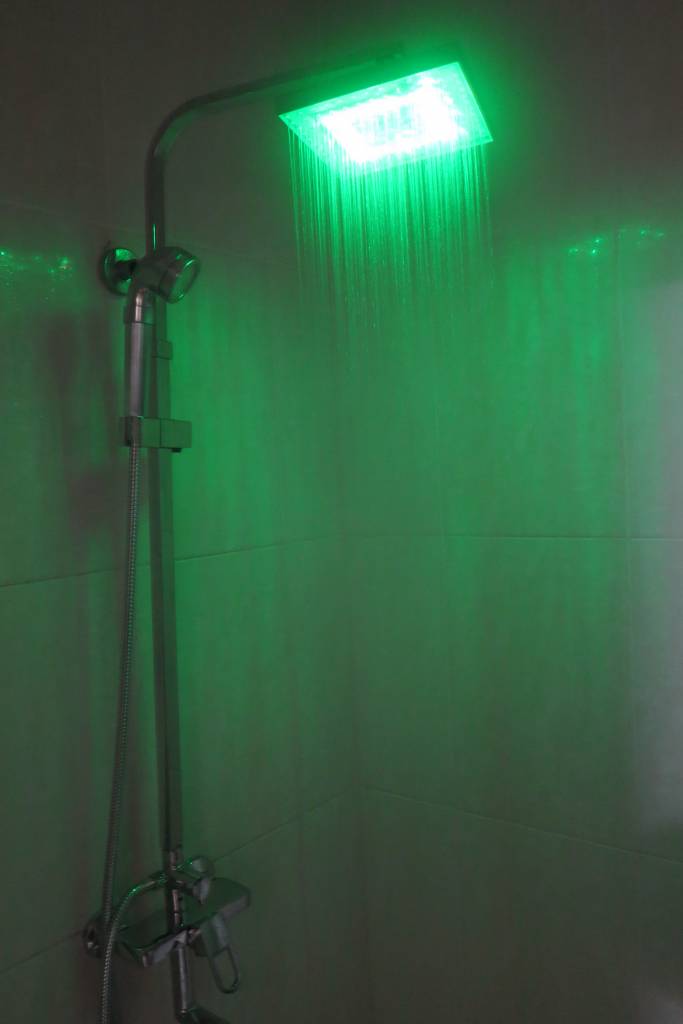 sen cay SZ0545Sv. sen cay doi mau. senziny. sen cay SZ0545Sv