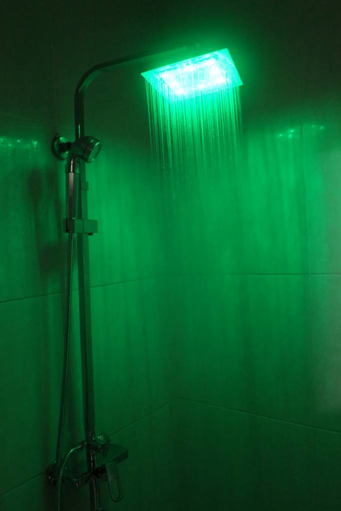 sen cay SZ0545v. sen cay doi mau. senziny. sen cay SZ0545v