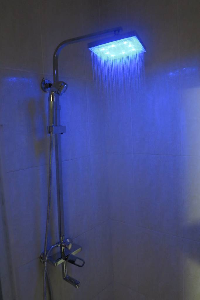 sen cay SZ0545v. sen cay doi mau. senziny. sen cay SZ0545v