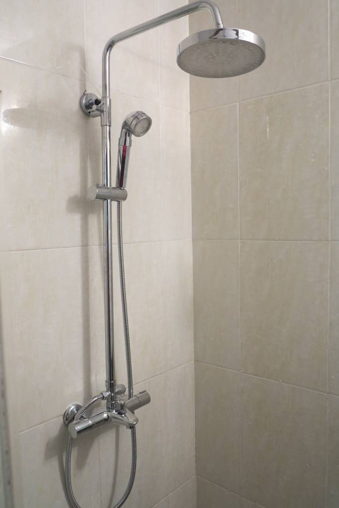 sen cay SZ9508-3BSv. sen cay doi mau. senziny. sen cay SZ9508-3BSv