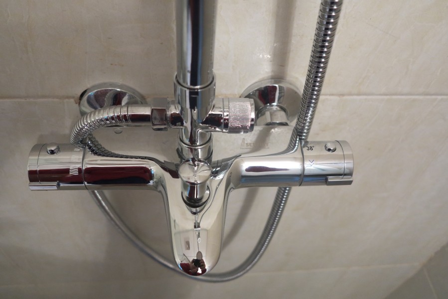 sen cay SZ9508-3BSv. sen cay doi mau. senziny. sen cay SZ9508-3BSv