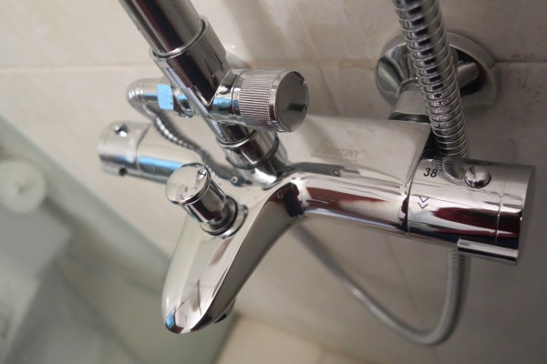 sen cay SZ9508-3BSv. sen cay doi mau. senziny. sen cay SZ9508-3BSv