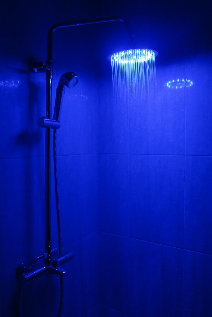 sen cay SZ9508-3BSv. sen cay doi mau. senziny. sen cay SZ9508-3BSv