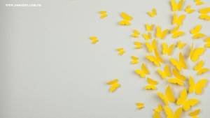 ý tưởng sáng tạo.mo