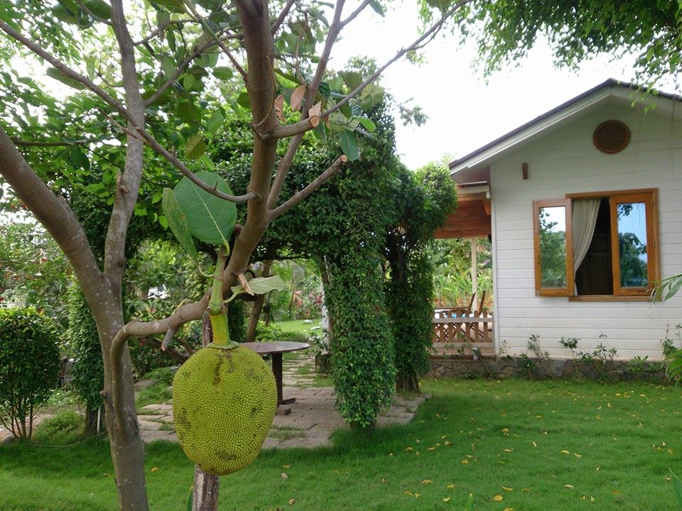 linh-khu-vuon-lang-man-ngap-tran-hoa-co-tuoi-dep-cua-kiwi-ngo-mai-trang_cc97f77e51