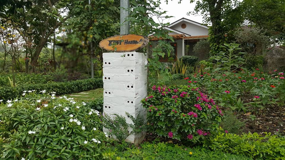 linh-khu-vuon-lang-man-ngap-tran-hoa-co-tuoi-dep-cua-kiwi-ngo-mai-trang_f33a7e02b3