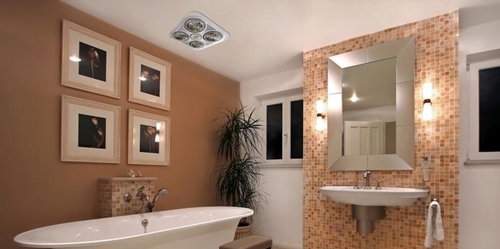 voi-hoa-sen-senziny2