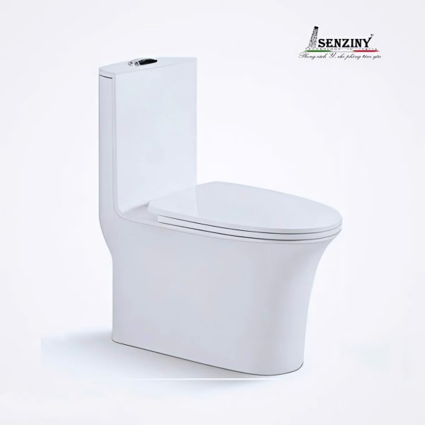 bon-cau-b2135-senziny