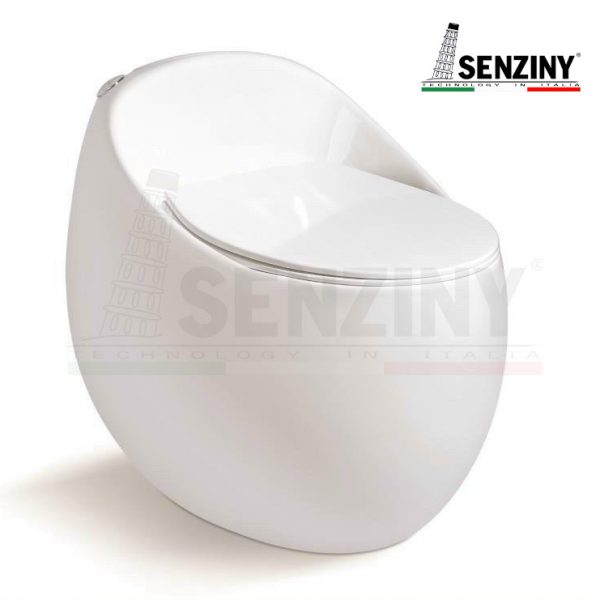 bet-trung-bon-cau-senziny