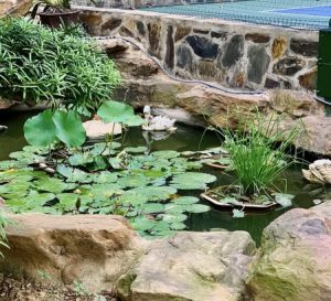 chuyến bàn giao hàng